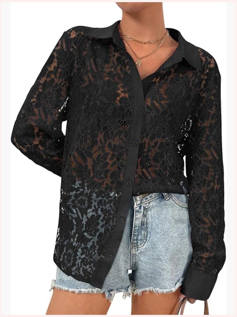 Sheer Lace Long Sleeve V-Neck Blouse Button Front Dressy Top